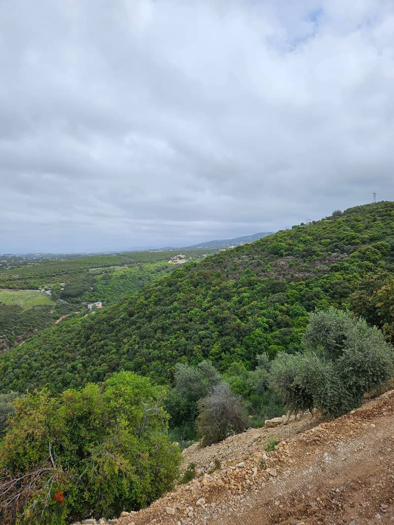 Land For Sale In Batroun 3