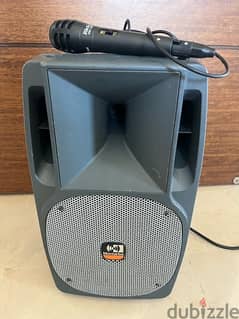 speaker with monitor 0