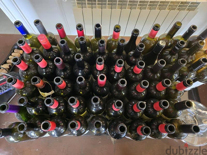 Empty Wine Bottle Collection 1