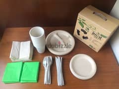 Biodegradable tableware and cutlery for picnic