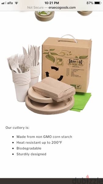 Biodegradable tableware and cutlery for picnic 1