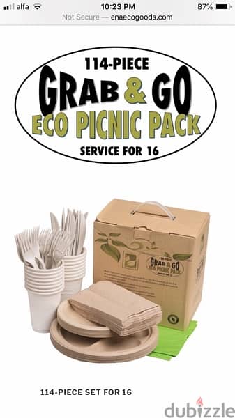 Biodegradable tableware and cutlery for picnic 2