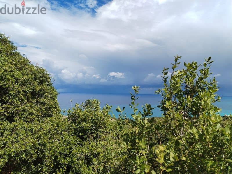 Land for sale in Batroun Panoramic Flat Unobstructed 3
