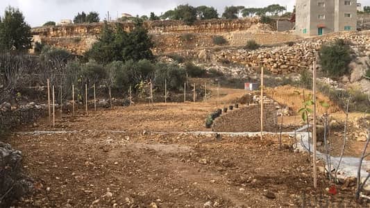 ارض للبيع في بدغان الشوف land for sale in badghan shouf