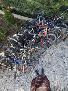 German bicycles 0