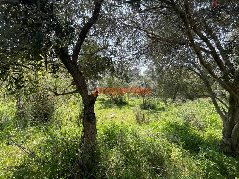 Land For Sale In Dbayeh 5