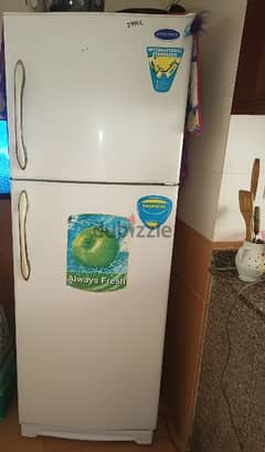 Concord Refrigerator