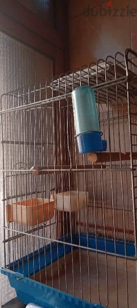 a new parrot cage for 20$ 1