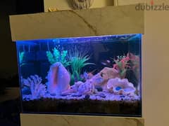 aquarium with fish + stand 0