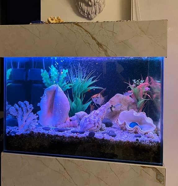 aquarium with fish + stand 1