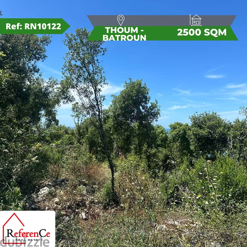 Land for Sale in Thoum-Batroun ارض في طحوم البترون 0