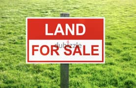 Land for sale in Meshmesh أرض للبيع في مشمش