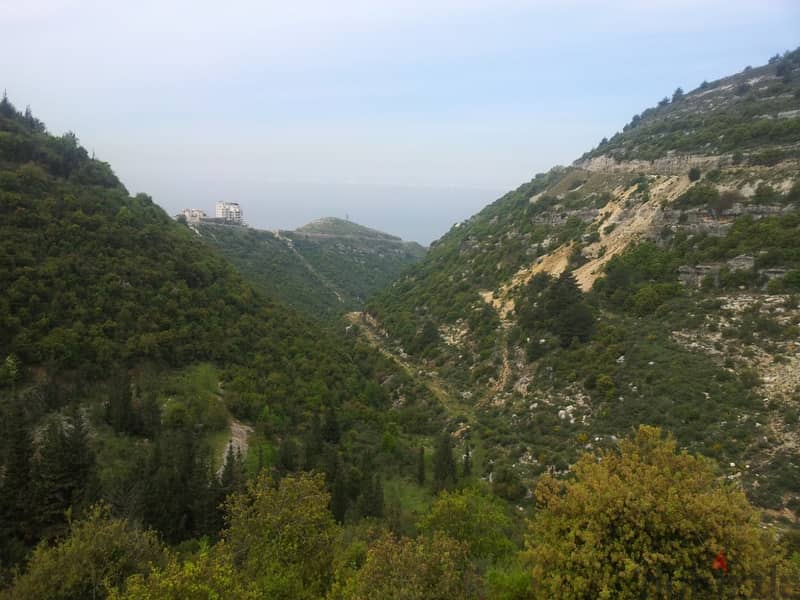 27000 Sqm | Land For Sale in Zeytoun - Panoramic Mountain View 0