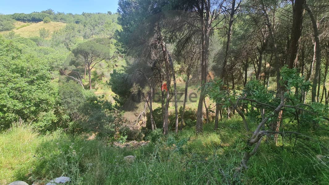 1256 sqm land FOR SALE in mansourieh/المنصورية REF#RR105713 1