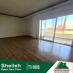 73,000$ Cash Payment!! Apartment for sale in Sheileh!! Open Sea View!! 0