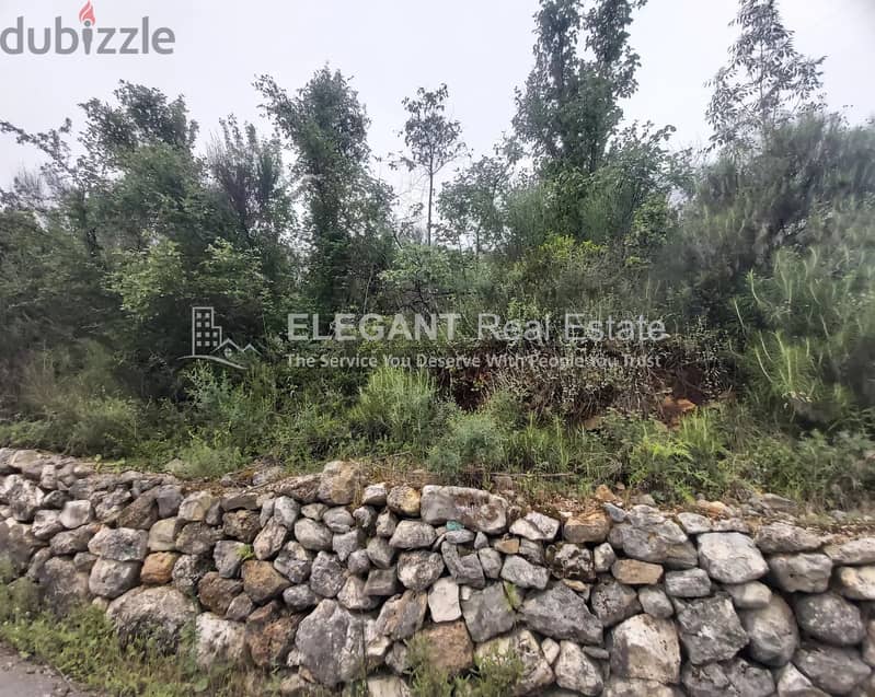 Easy Access Land | Calm Area 1