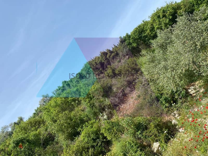 A 1000 m2 land having an open mountain view for sale in Edde/Batroun 0