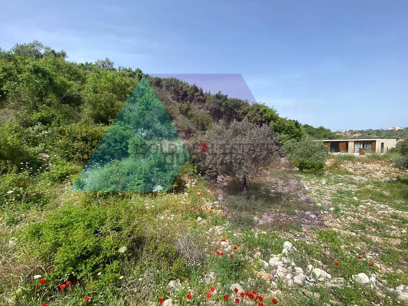 A 1000 m2 land having an open mountain view for sale in Edde/Batroun 1