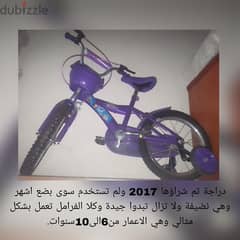Sofia the First Bicycle (6-10 years)
