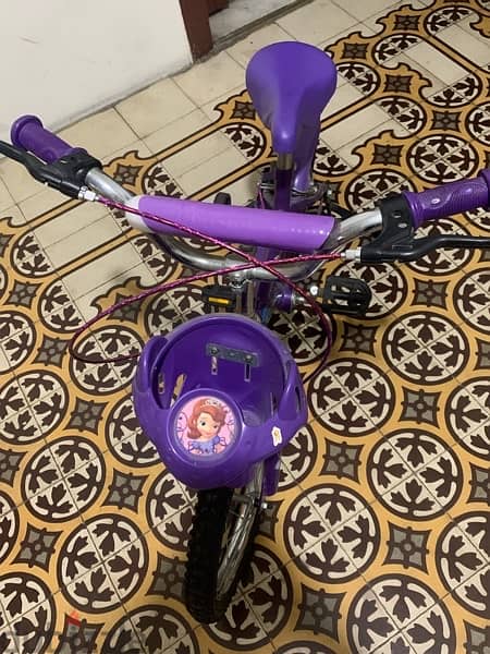 Sofia the First Bicycle (6-10 years) 1