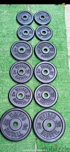 Gym Plates 29kg for 45$$