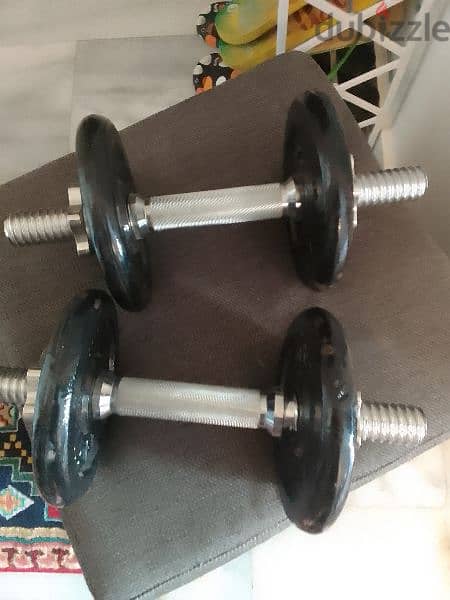 dumbbells two with axes 1