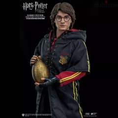 Harry Potter 0