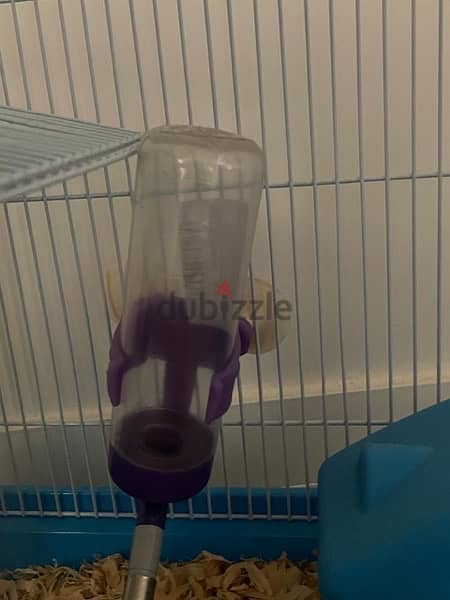 Hamster cage + accessories 3