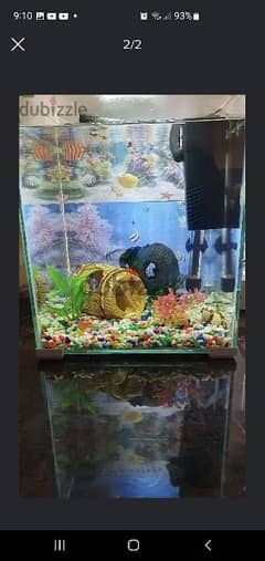 Glass Fish Aquarium- Very Clean 0