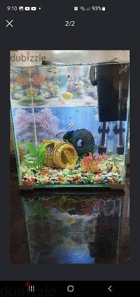 Glass Fish Aquarium- Very Clean 1