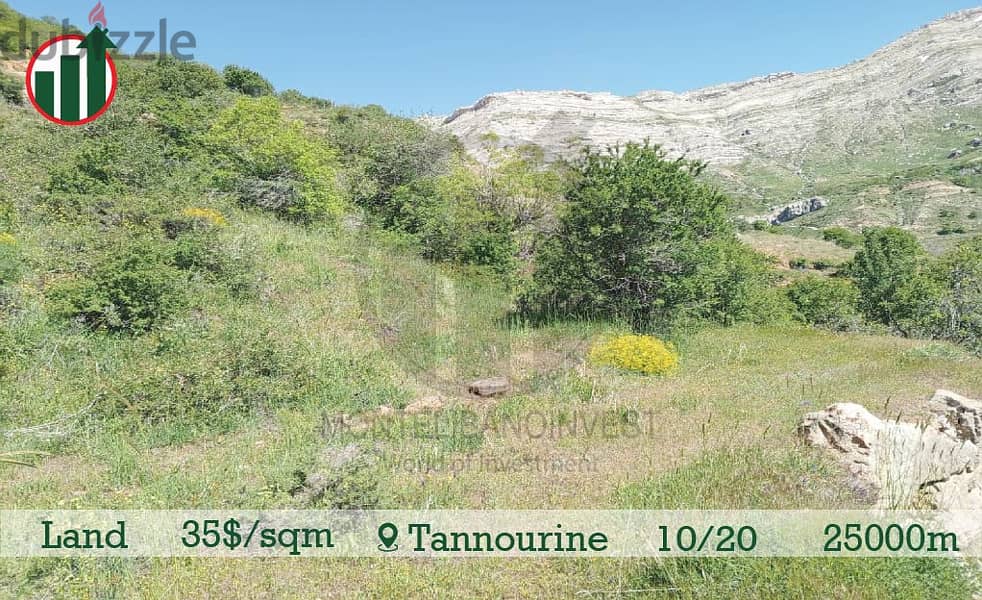 Land for sale in Tannourine with Mountain View!!! 1
