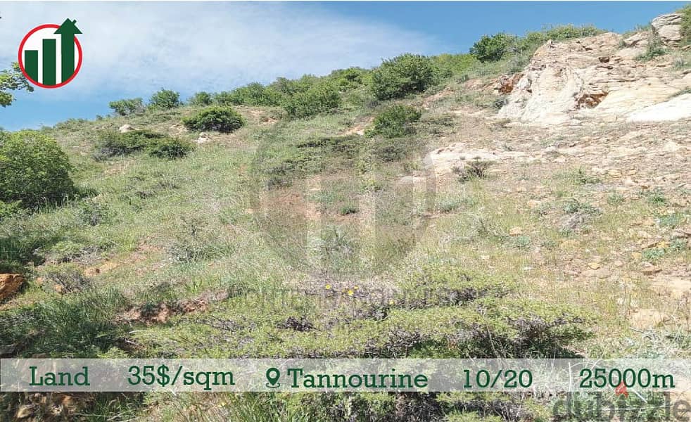Land for sale in Tannourine with Mountain View!!! 2