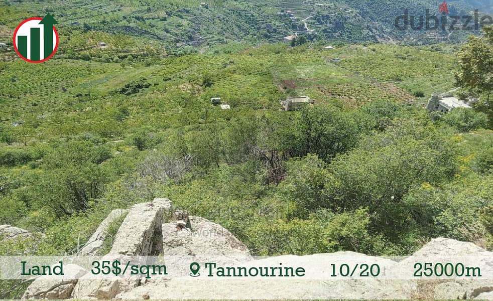 Land for sale in Tannourine with Mountain View!!! 3