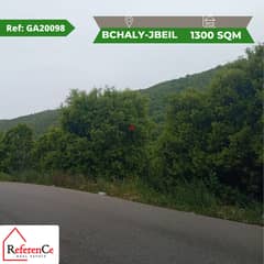 Prime land for sale in Bchelli Jbeil أرض مميزة للبيع في بشالي جبيل