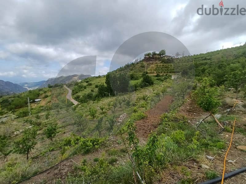 Land of 4250sqm in tannourine with Fascinated view/تنورين REF#RM105891 2