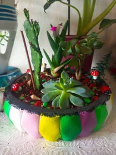 handmade concrete pot garden plants, تصاميم للمكاتب، للحديقة، للمنزل 0