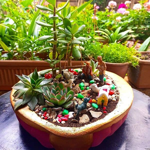 handmade concrete pot garden plants, تصاميم للمكاتب، للحديقة، للمنزل 1