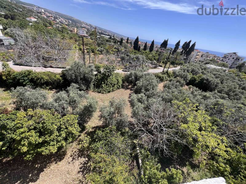 Land For Sale In Batroun | Amazing View | أرض للبيع | PLS 26019 2