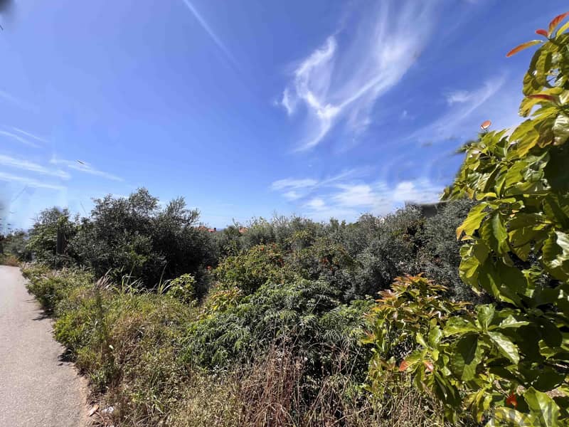 Land For Sale In Batroun | Amazing View | أرض للبيع | PLS 26019 3