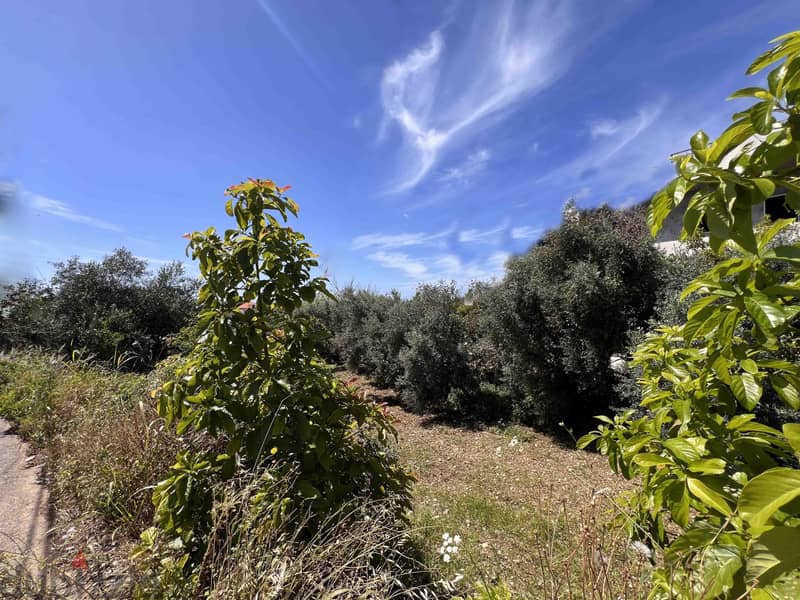 Land For Sale In Batroun | Amazing View | أرض للبيع | PLS 26019 4