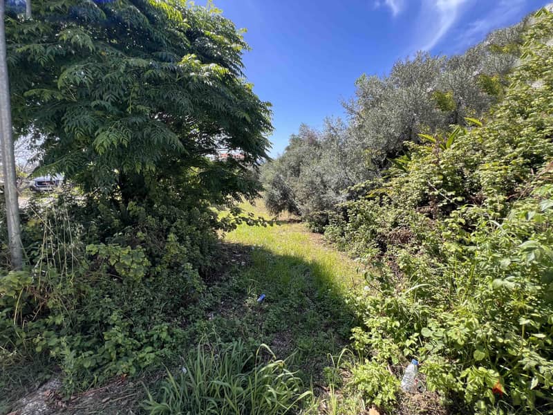 Land For Sale In Batroun | Amazing View | أرض للبيع | PLS 26019 6