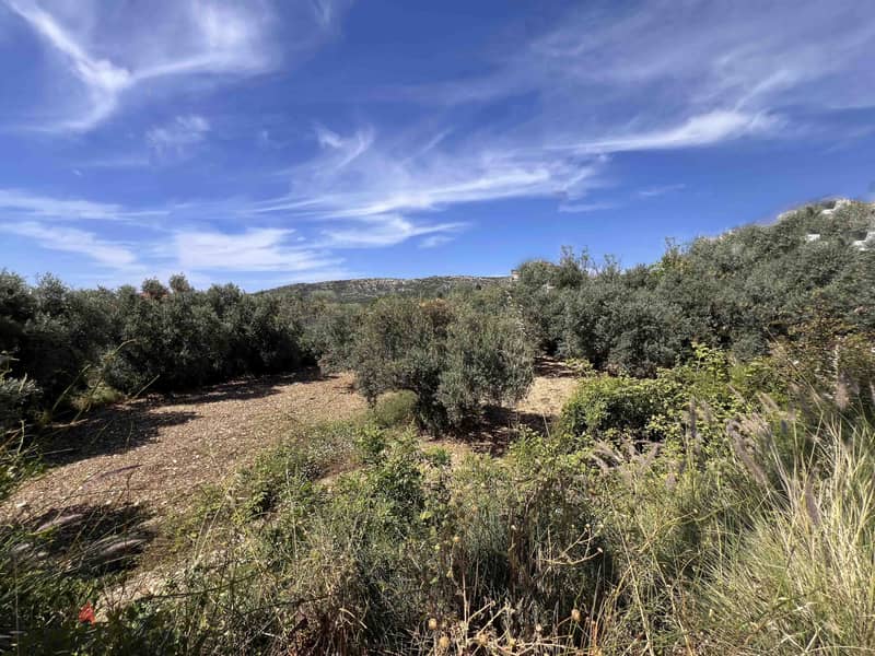 Land For Sale In Batroun | Amazing View | أرض للبيع | PLS 26019 8