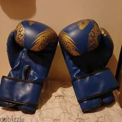 strong blue boxing gloves (great shape)