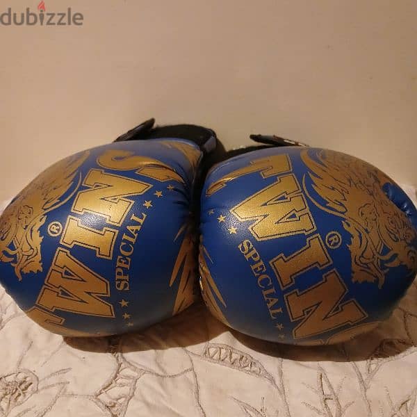 strong blue boxing gloves (great shape) 1