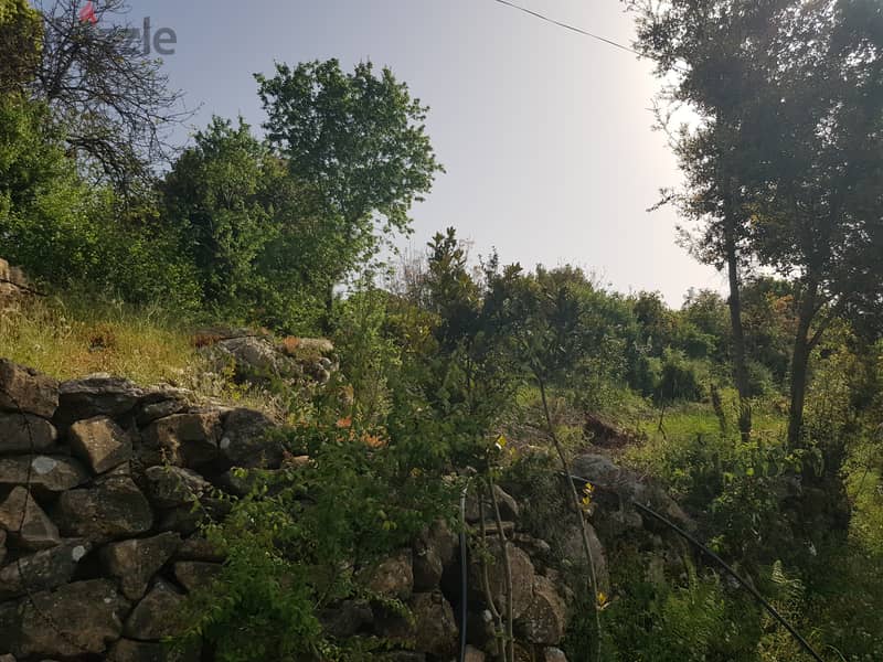 RWK116JK - Land For Sale In Jouret-El-Termoss أرض للبيع في جورة الترمس 4