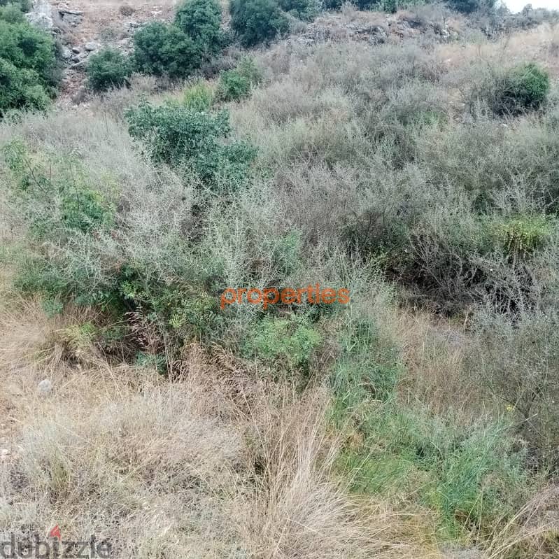 Amazing land for sale in hboub-Jbeilارض رائعة للبيع في حبوب CPRK208 1