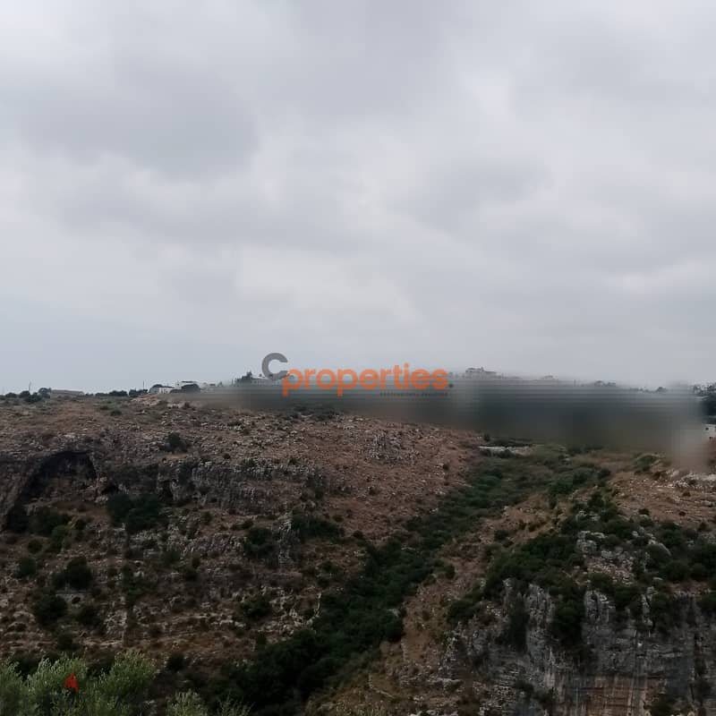 Amazing land for sale in hboub-Jbeilارض رائعة للبيع في حبوب CPJRK208 3