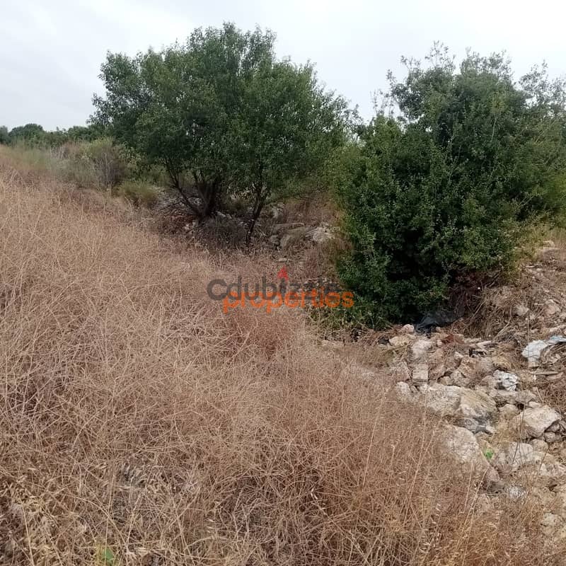 Land For Sale Open Sea View ,In eddeأرض للبيع في اده جبيل مطلة CPRK209 0