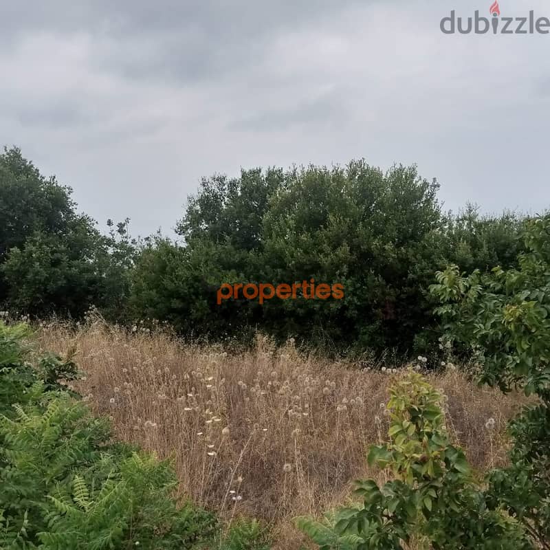 Land For Sale Open Sea View ,In eddeأرض للبيع في اده جبيل مطل CPJRK209 1