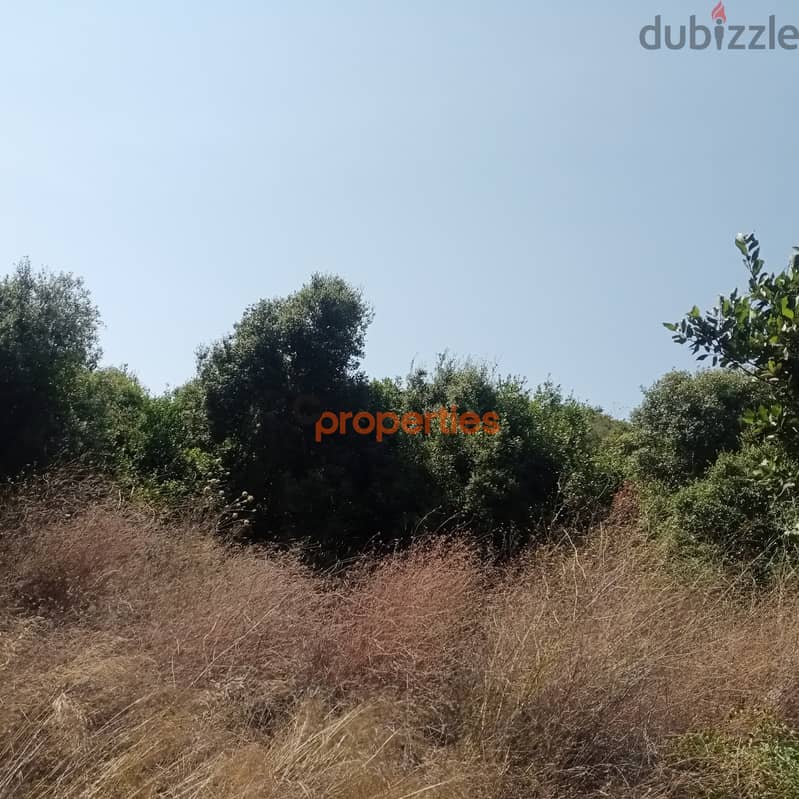 Amazing Land for sale in edde jbeil ارض خيالية للبيع في اده جبيCPRK213 4